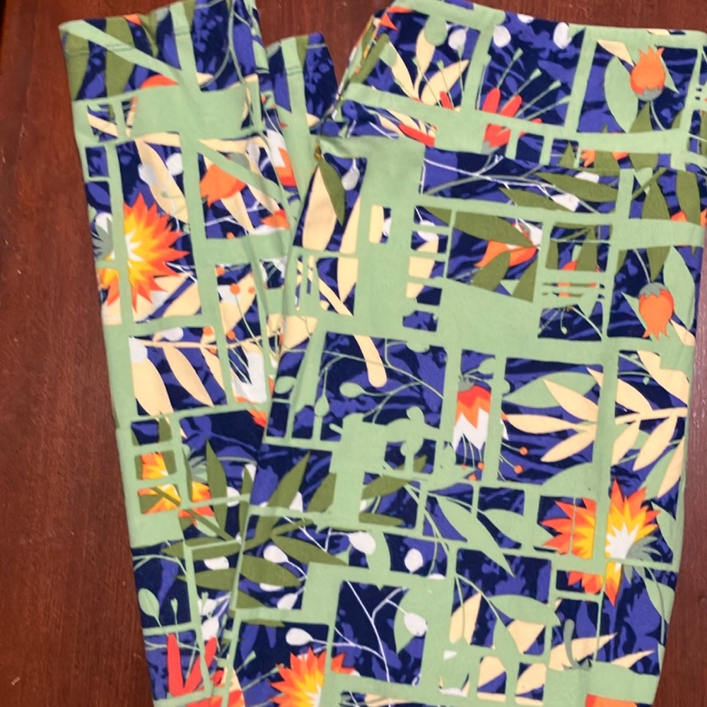 LuLaRoe TC Leggings V16